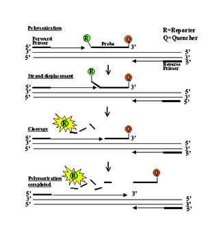 平博·(pinnacle)官方网站